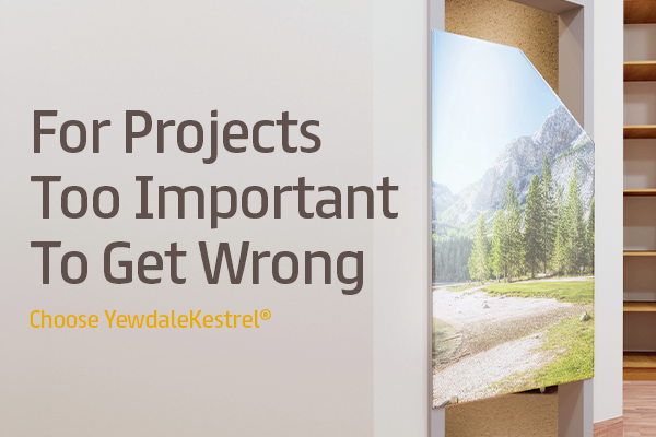 Yewdale-Kestrel-Eshot-MentalHealth-ImportantProjects-Main