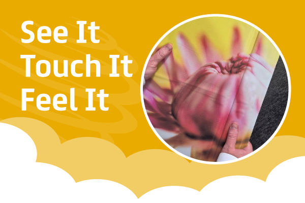 Yewdale-Kestrel-Eshot-MentalHealth-SeeIt-Main