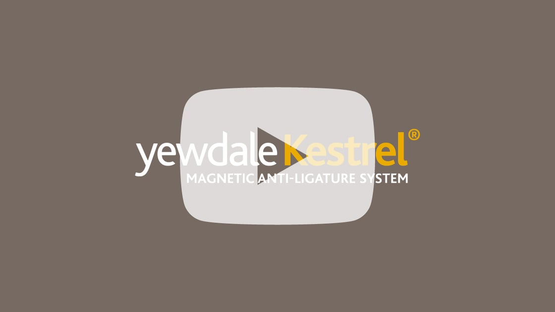 Yewdale-YouTube-Thumbnail-Kestrel-YT